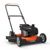 Lawn Mower 20 Inch 125Cc E450 Series Briggs & Stratton Gas Walk behind with Side-Discharge Cutting System