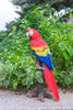 "Colorful Parrot Perched Statue"