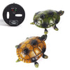 Pet Turtle RC Tortoise W/ Simulation Sounds & Lights