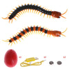Remote Control Animal Centipede Creepy-crawly