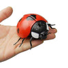 RC Ladybug Kids IR Remote Control Ladybug Realistic