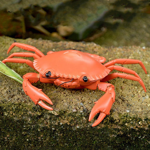 Image of Crawling Remote Control Crab Toy