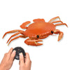 Crawling Remote Control Crab Toy